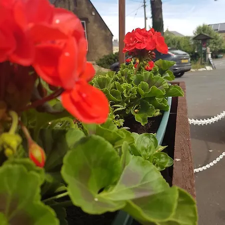 イン The Black Horse 3*